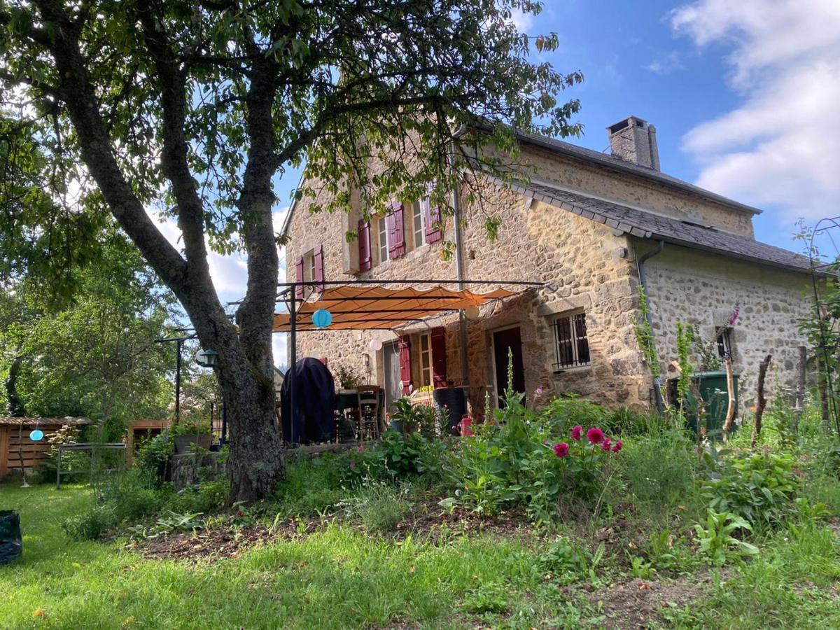 Haute Dône, een vakantiehuis met 2 slaapkamers, rust en natuur Luzy Exterior foto