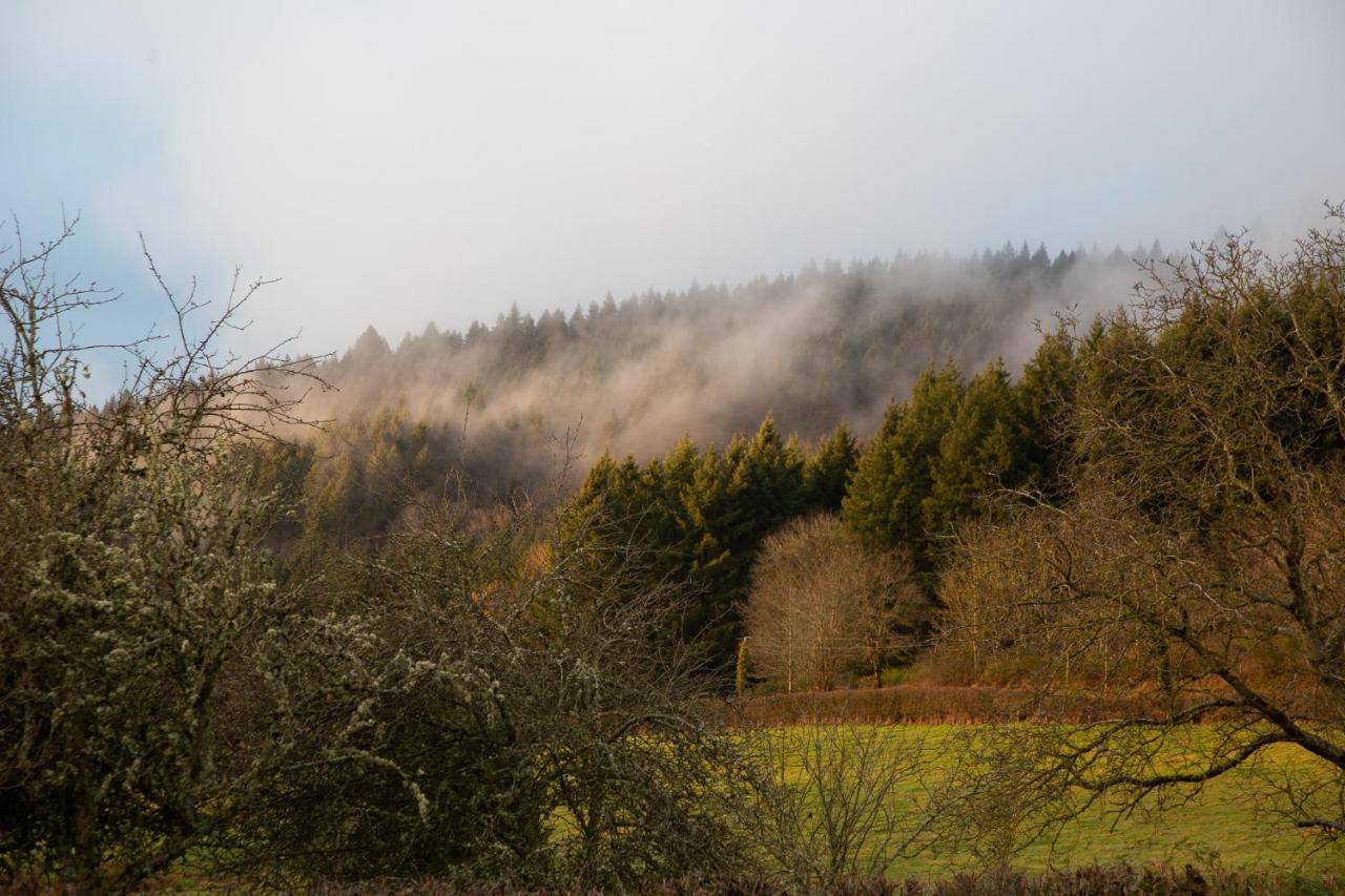 Haute Dône, een vakantiehuis met 2 slaapkamers, rust en natuur Luzy Exterior foto
