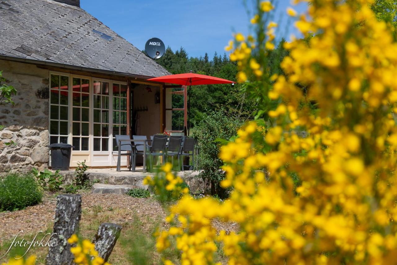 Haute Dône, een vakantiehuis met 2 slaapkamers, rust en natuur Luzy Exterior foto